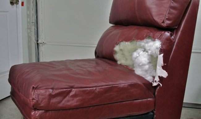 bộc ghế sofa tại nhà giá rẻ